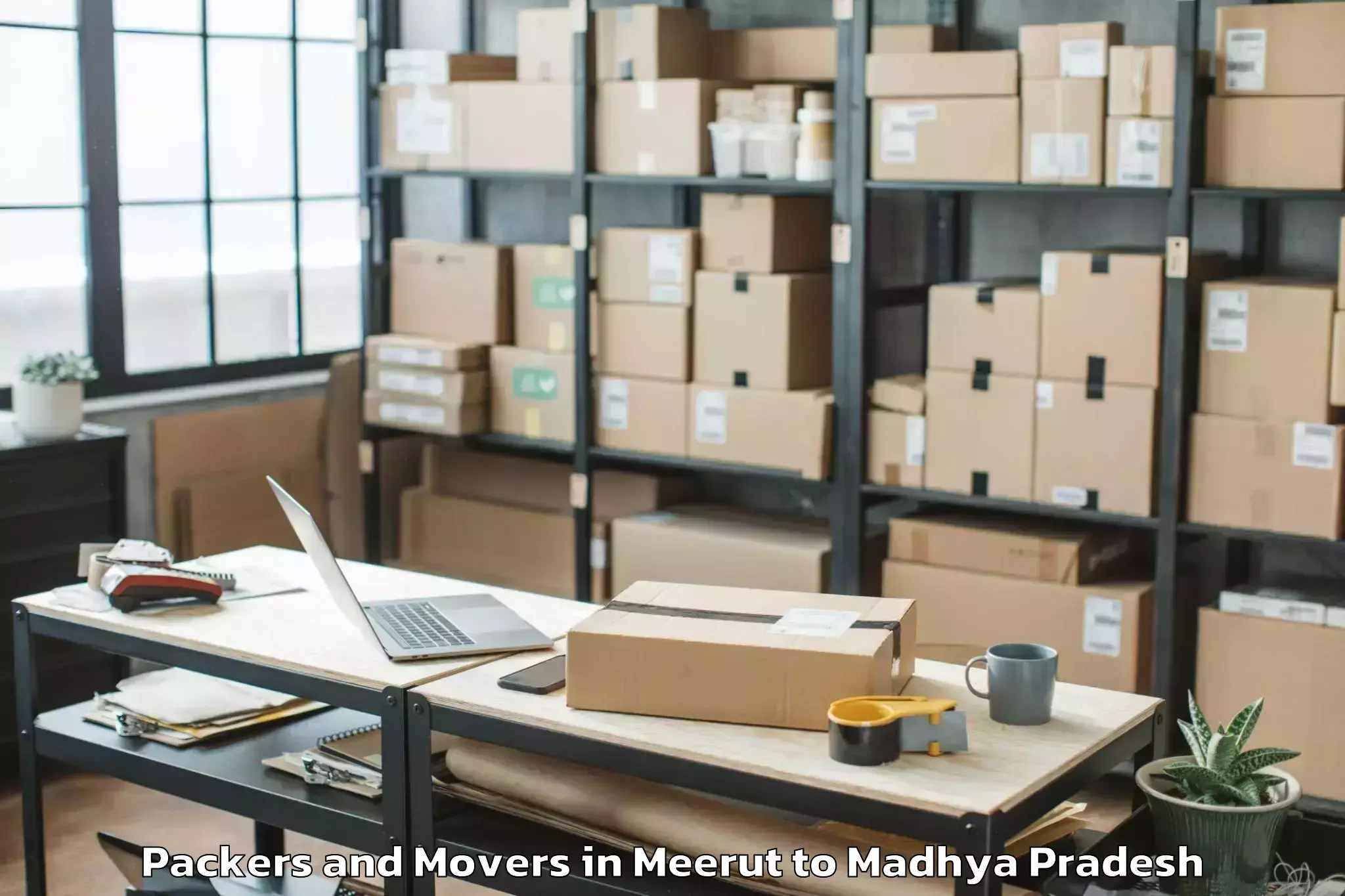 Reliable Meerut to Raghogarh Packers And Movers